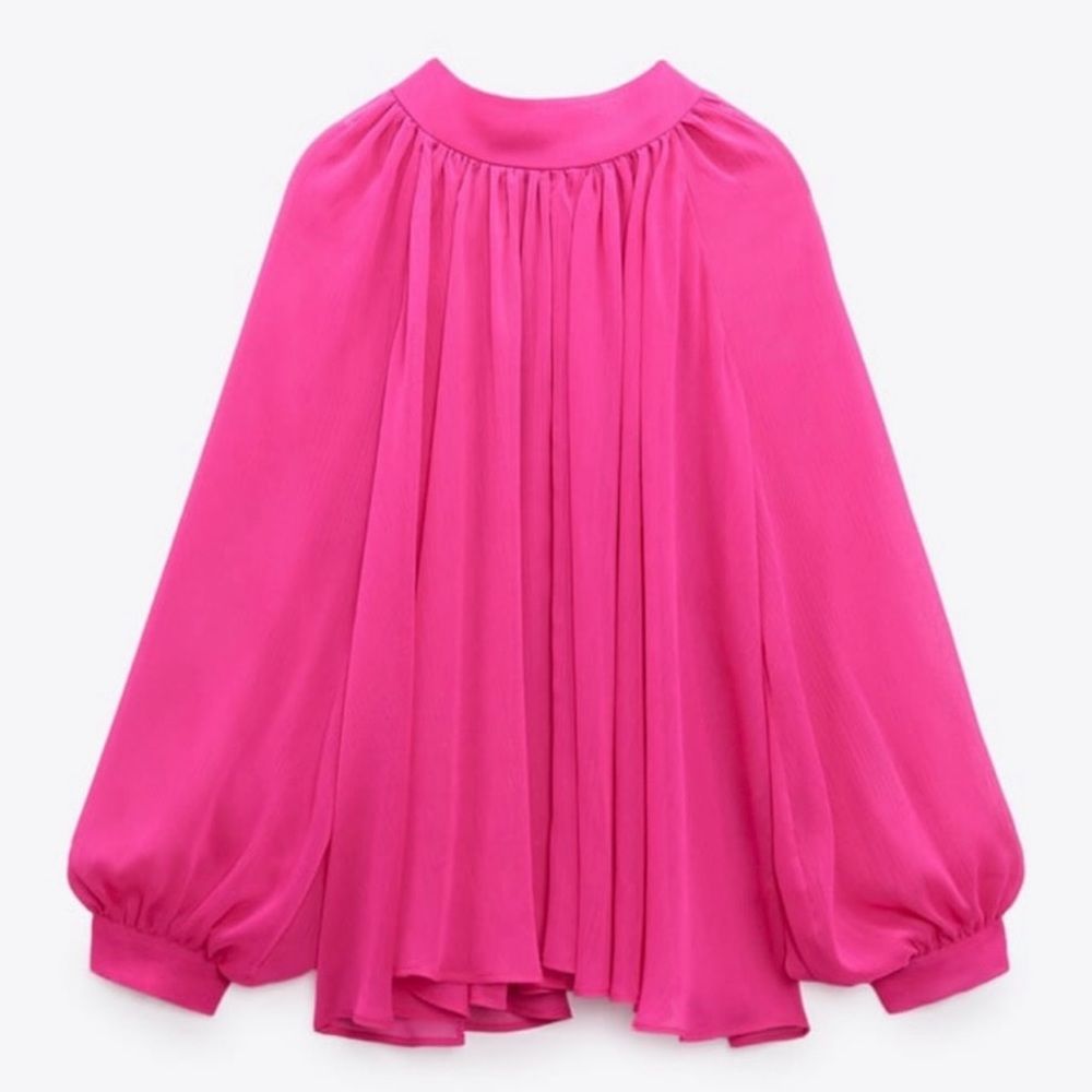 Zara Blogger's Favorite High Neck Sheer Pleated Balloon Sleeve Back Tie Blouse S